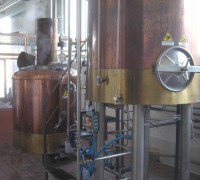Tank di cuttura e fermentazione birra